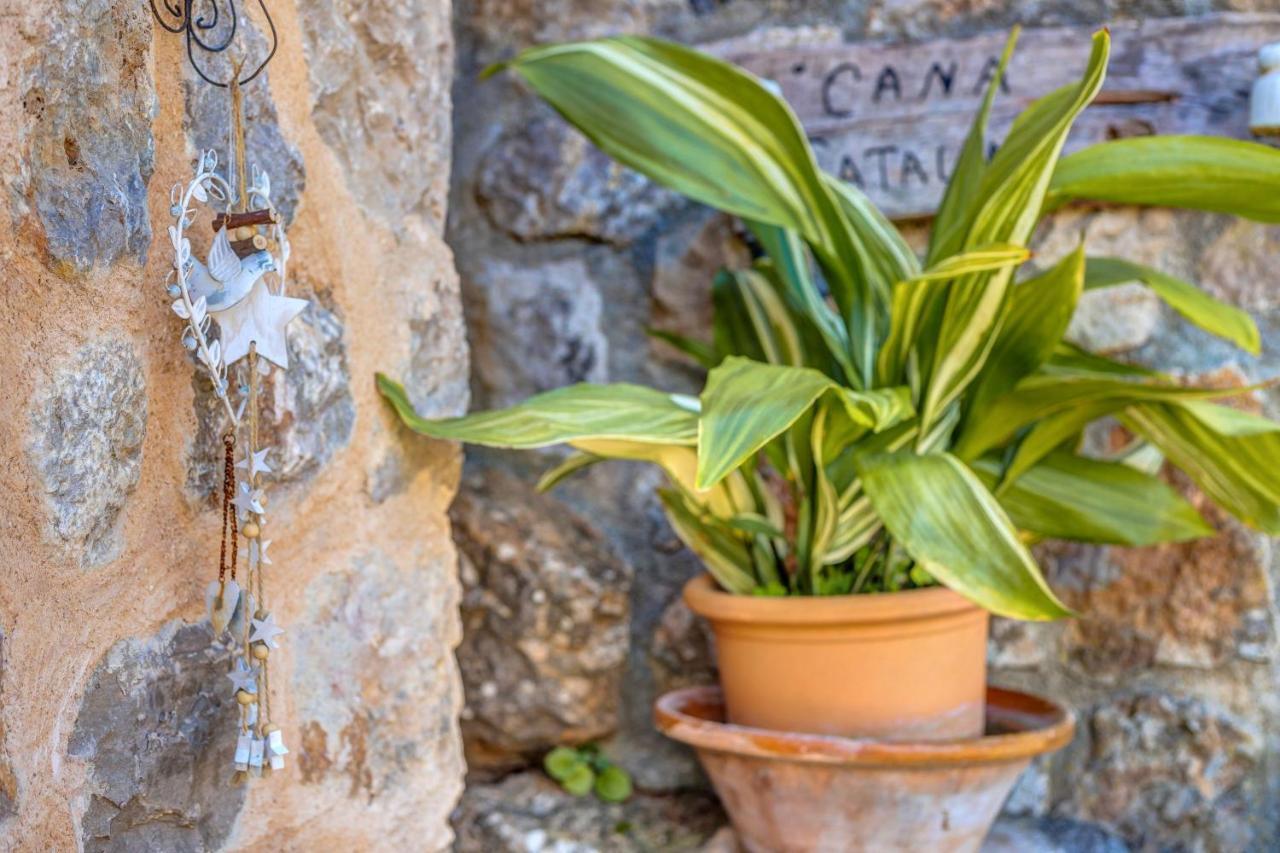 Casa Catalina Ferienhaus *